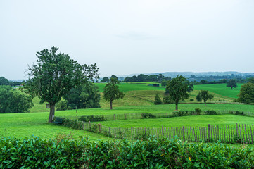 belgium landscape