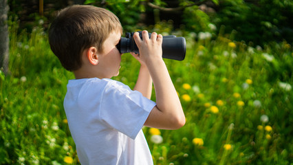 curious boy looks for wildlife through binoculars in the park. Exploring the world. Summer holidays. Outdoor activities.