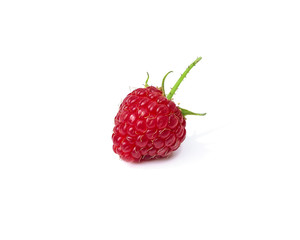 Sweet and fresh raspberries with a prickly root on a white background with a sunny shadow. Summer...
