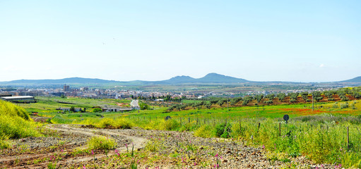 Fototapeta na wymiar Panoramic view of the city of Merida from the distance of a path on Via de la Plata, Extremadura, Spain