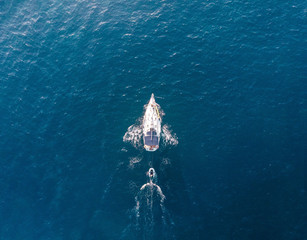 Sailing Boat on the Mediterranean Sea