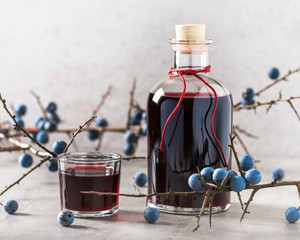 Glass of homemade sloe liqueur or gin decorated with fresh juicy ripe berries. Selective focus....