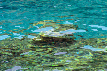 Fototapeta na wymiar Green transparent water of the Mediterranean Sea. Concept - water background for design