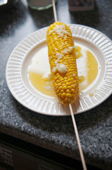  Fried corn stick on a stick. On a white plate.