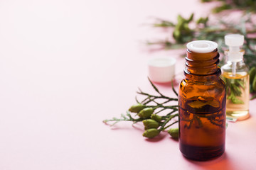 Thuja aroma essential oil in a glass jar on a pink background. Copy space. Selective focus.