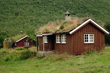 Fototapeta na wymiar Capanne di legno con tetto in erba in Norvegia