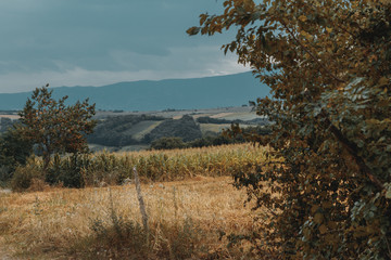 Fototapeta na wymiar landwirtschaftlich genutzte Felder in der Natur von Rahovec, Kosovo