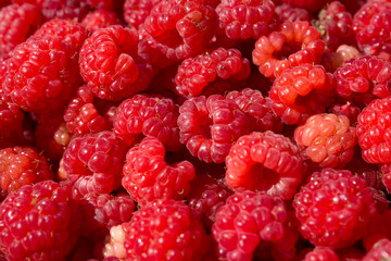 Fresh and sweet raspberries background
