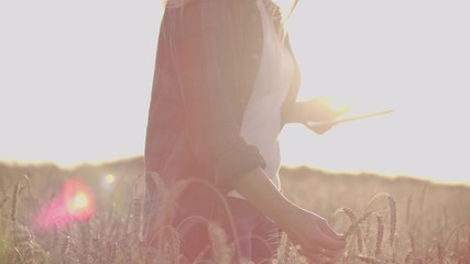 Close-up of a woman at sunset touches the wheat germ and makes the data in the tablet