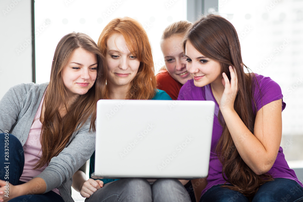 Wall mural group of female college students working on their homework/having a chat in between the lectures, us