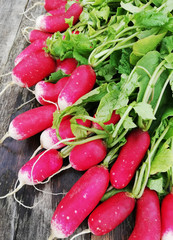 harvest ripe radishes with green leaves on the table. Home garden