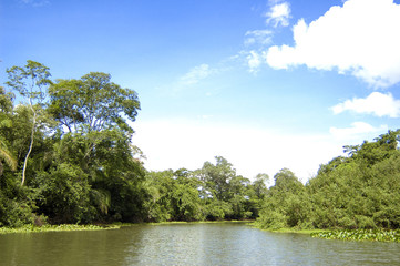 Pantanal