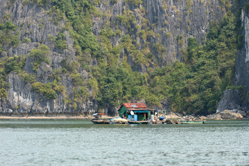 Fototapeta premium Vue rapprochée sur la Baie d'Ha Long et de Lan Ha avec des maisons formant des villages flottant