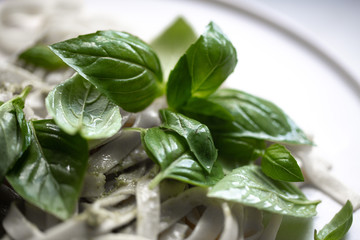 Obraz premium Fresh organic basil, growing in the garden. Bright green basilic leaves. Outdoors. Natural food background with copy space