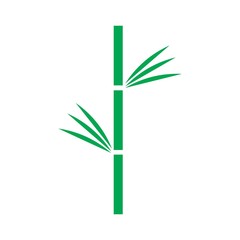 Fototapeta na wymiar bamboo logo vector