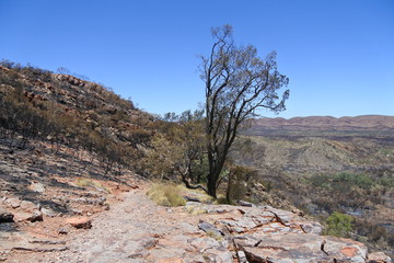 Buschfeuer am Lookout der Serpentine Gorge in Australien