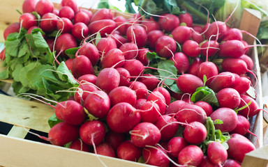 radish in wicker baskets on the counter of market