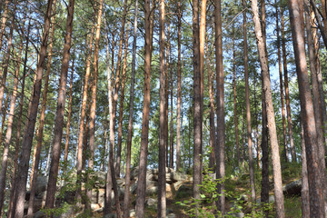 Naklejka premium Old Ural Mountains.
