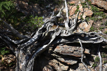 Martell, Martelltal, Schlucht, Klamm, Vinschgau, Südtirol, Plima, Plima-Schlucht, Schluchtenweg,...