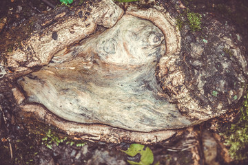 Gray stone wall background, stone background