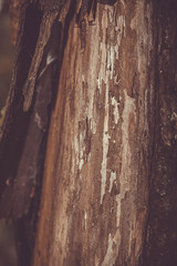 Gray stone wall background, stone background