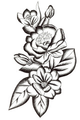 Black tattoo composition with flowers, buds and leaves on white background