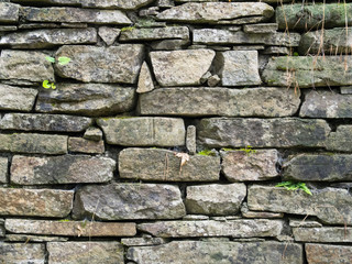 Old dry stone wall made with sandstones (pietra langa)