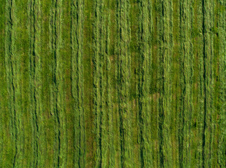 Aerial image of agriculture field
