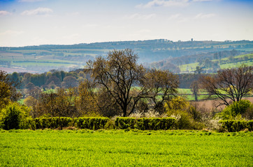 cotswold landscape gloucestershire england uk