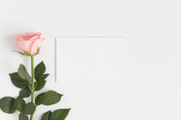Top view of a white card mockup with a pink rose on a white table.