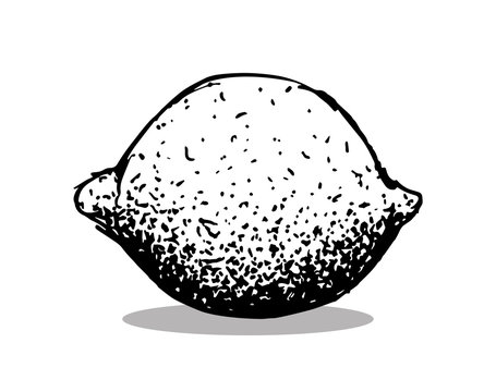 recommend clip art: Zitrone