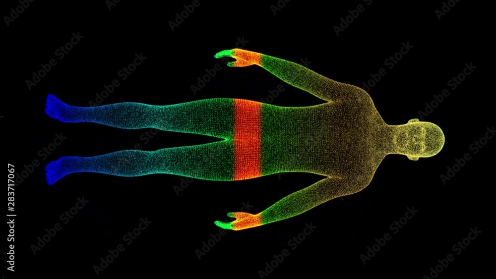 Fototapete Futuristic motion element user interface information technology virtual biomedical holographic human body scan diagnostic with data and telemetry head up display for background computer desktop screen