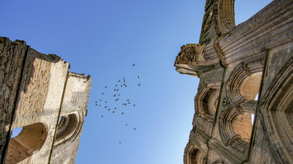 Ruined Abbey with birds flying over