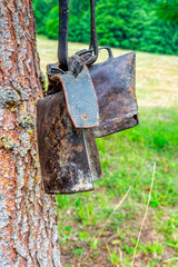 Two cow bells hang on a tree