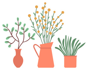 Domestic plants vector, pots and vases with foliage, set of blooming leaves and flowers. Botanical elements decor for home, nature flourishing flat style