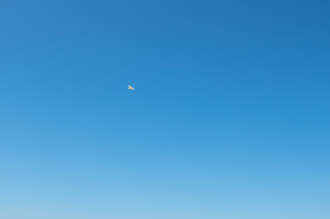 Möwe am blauen Himmel