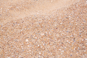 Fototapeta na wymiar sable