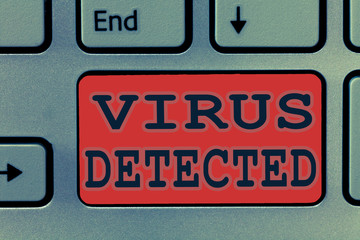 Fototapeta premium Writing note showing Virus Detected. Business photo showcasing A computer program used to prevent and remove malware.