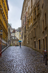 Narrow street of Vienna in rainy weather