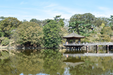 Fototapeta na wymiar 奈良公園　浮見堂