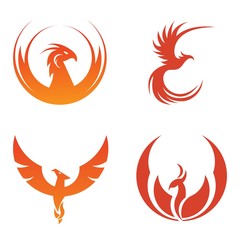 Phoenix Silhouette