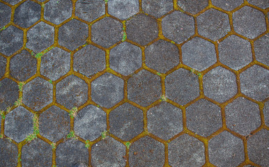 Hexagon old cement blocks pattern of the floor And leaves background.