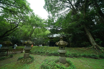 松島の円通院のお庭