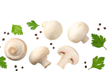 mushrooms with slices, parsley leaf and peppercorns isolated on white background. top view