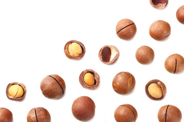 Macadamia nut isolated on a white background. top view