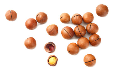 Macadamia nut isolated on a white background. top view