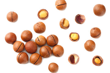 Macadamia nut isolated on a white background. top view
