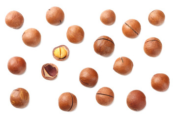 Macadamia nut isolated on a white background. top view