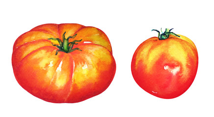 Set ot watercolor two red ripe tomatoes