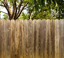 Privacy and security provided by a rustic wood backyard fence with green shade trees background